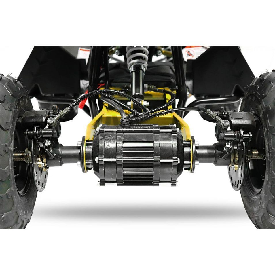 Photo n°11