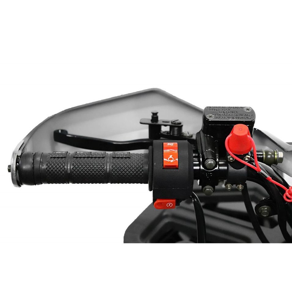 Photo n°9