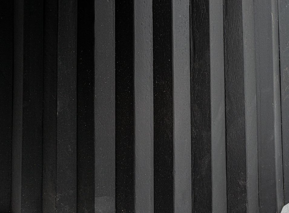 Photo n°9