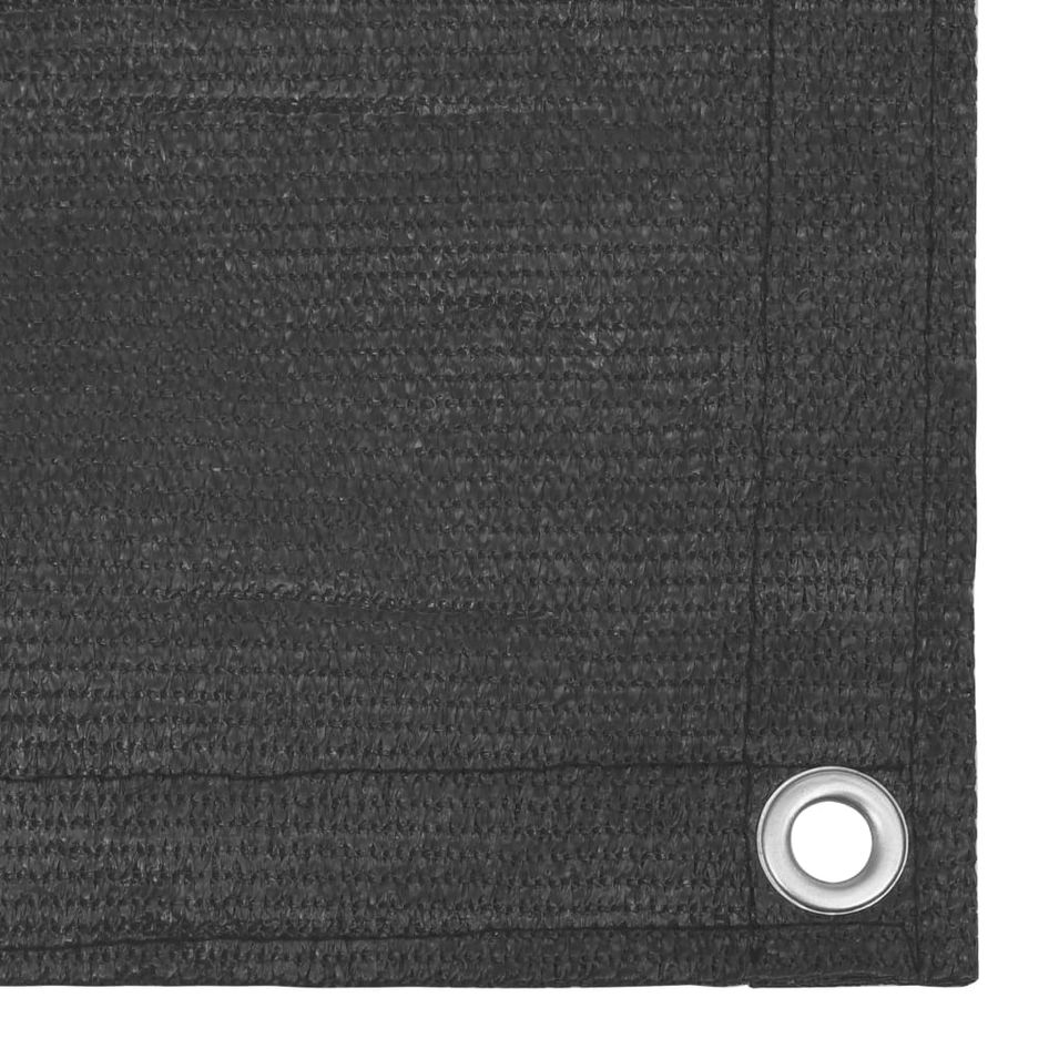 Photo n°4