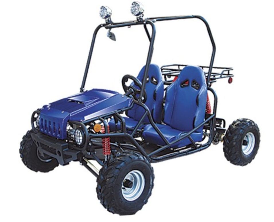 Buggy 125cc 2 places Bleu - Photo n°1