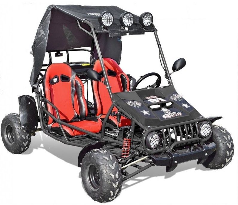 Buggy 125cc noir 4T 2 places - Photo n°1