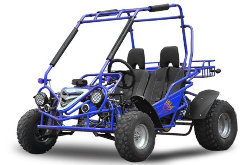 Buggy 200cc bleu - Photo n°1