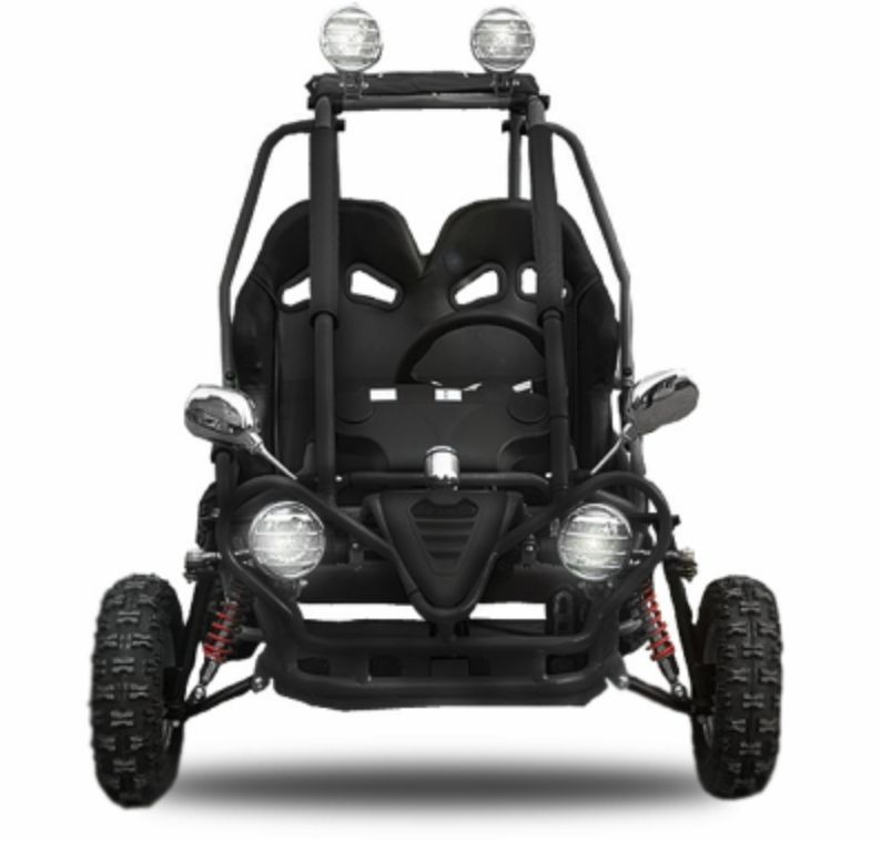 Buggy électrique 750W Noir - Photo n°1