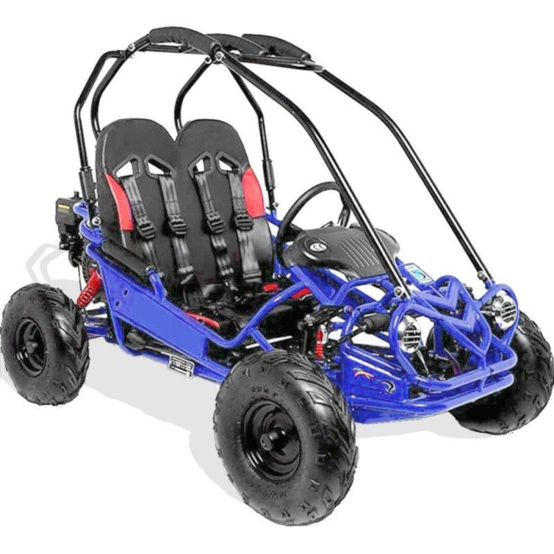 Buggy enfant 160cc 2 places bleu - Photo n°1