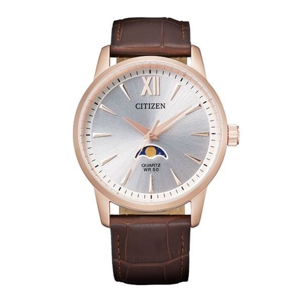 Citizen Ak5003-05a - Photo n°1