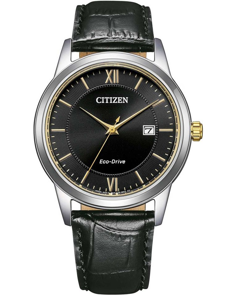 Citizen Aw1784-16e - Photo n°1