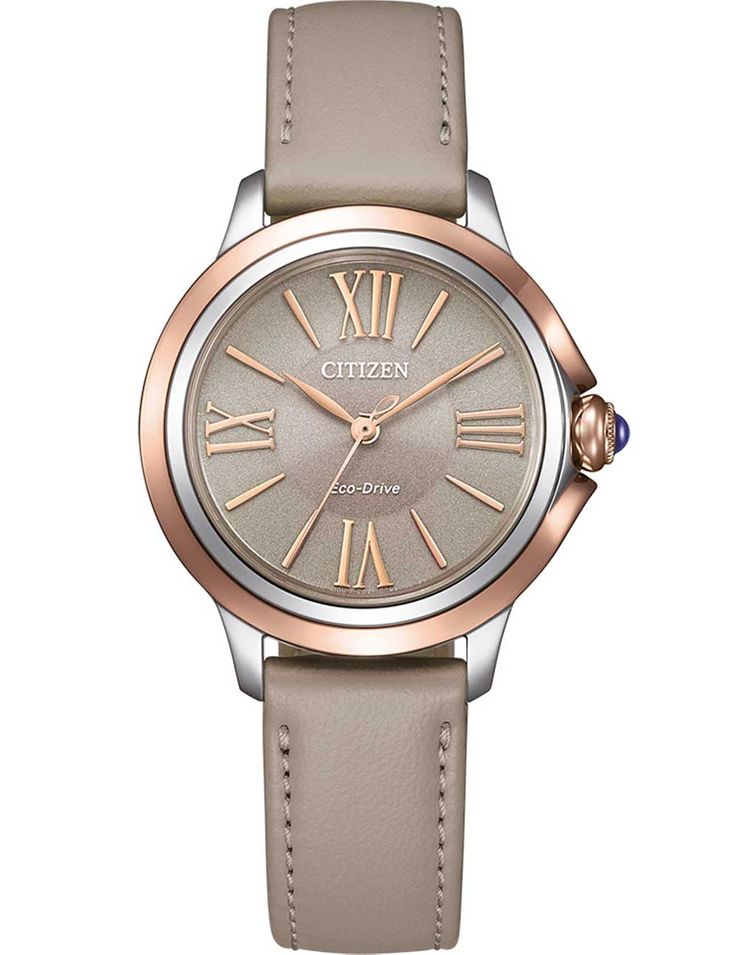 Citizen Em1166-01z - Photo n°1