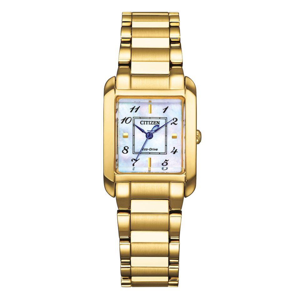 Citizen Ew5602-81d - Photo n°1