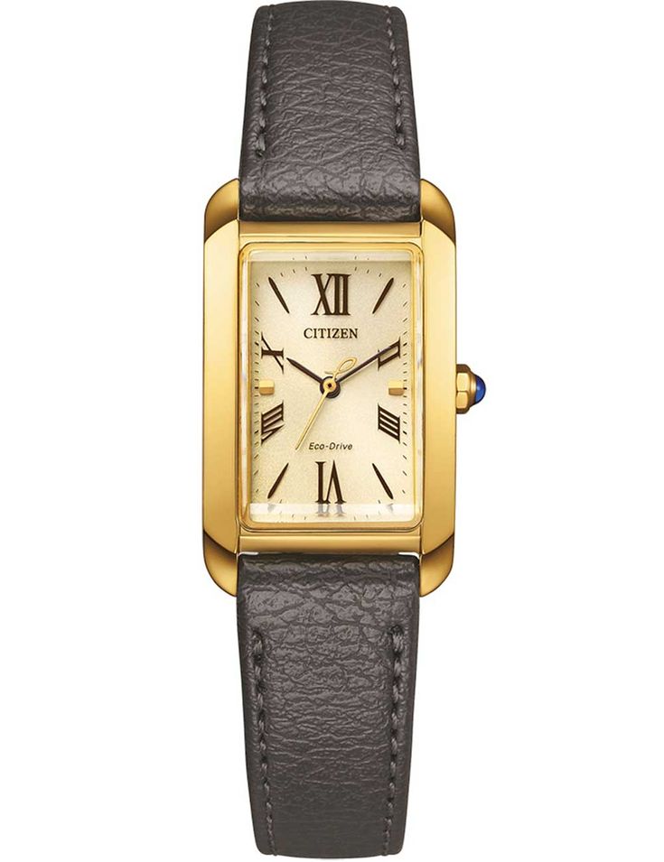 Citizen Ew5622-09p - Photo n°1