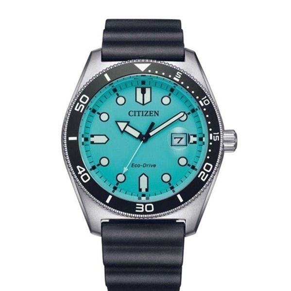 Citizen Marine 1760 AW1760-14X - Photo n°1