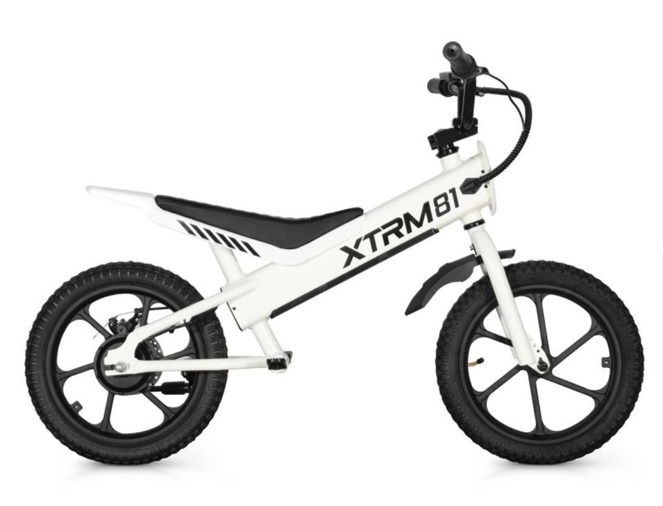 Draisienne électrique DX 16