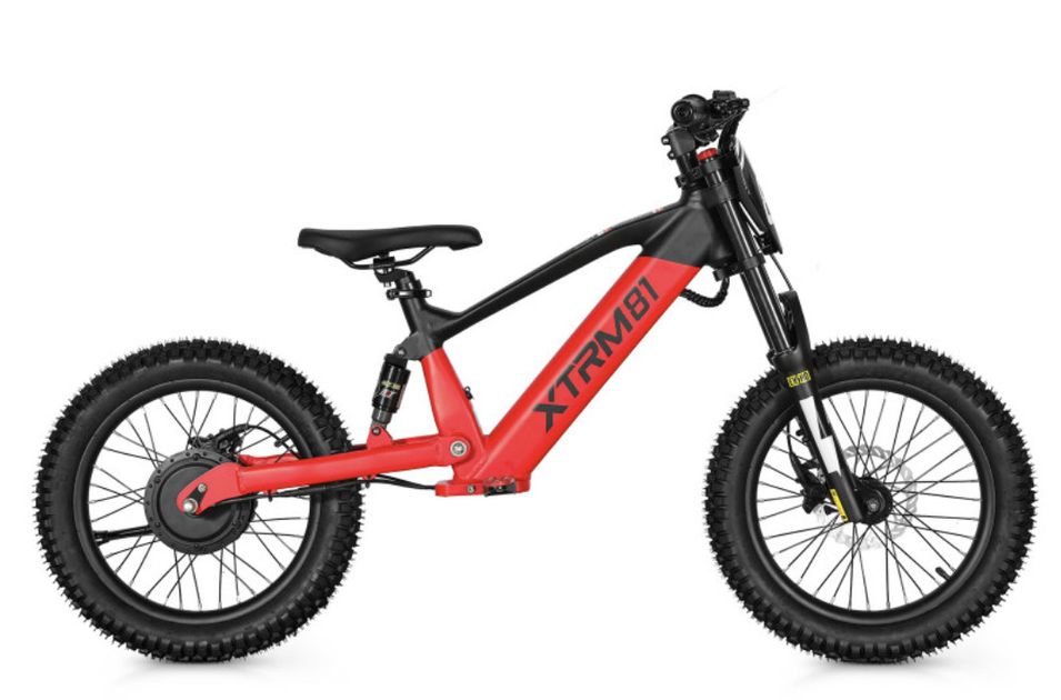 Draisienne électrique DX 18