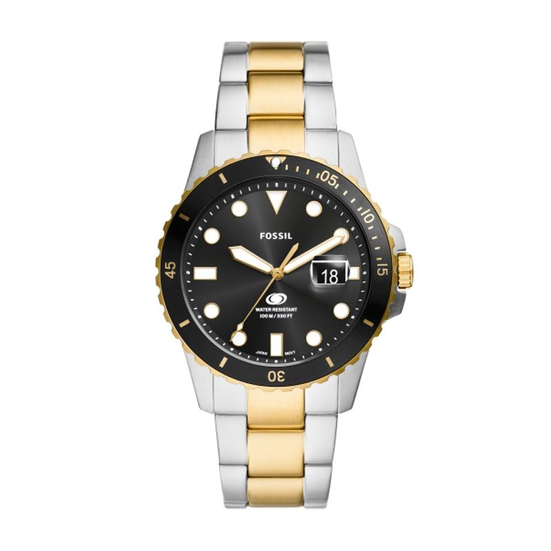 Fossil Fs6031 - Photo n°1