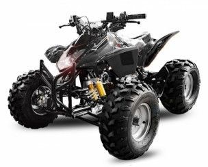Grizzly RS8 125cc noir semi automatique roues de route Quad adulte - Photo n°1
