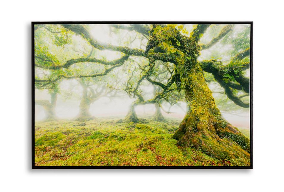 Impression sur toile laquée avec cadre, motif forêt, 90 x 4 x 60 cm - Photo n°1
