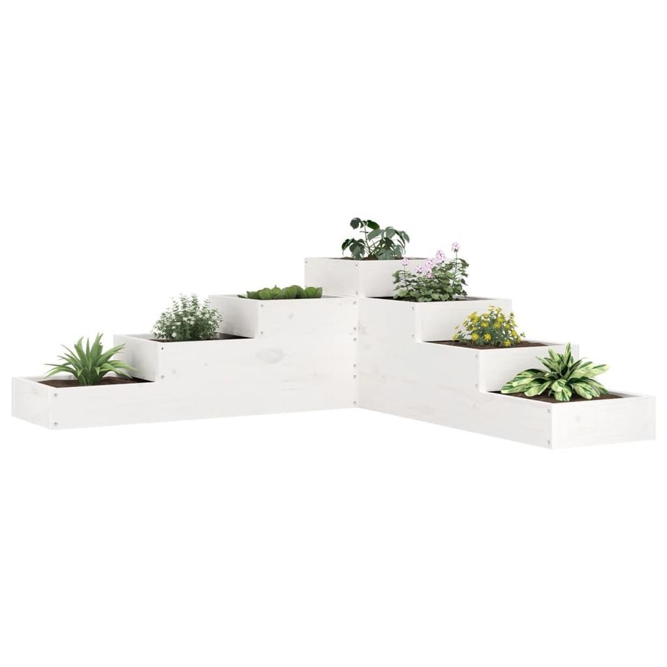 Jardinière 4 niveaux 106x104,5x36 cm blanc bois de pin massif - Photo n°1