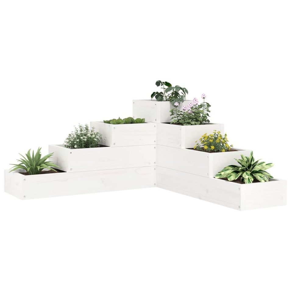 Jardinière 4 niveaux 80,5x79x36 cm blanc bois de pin massif - Photo n°1
