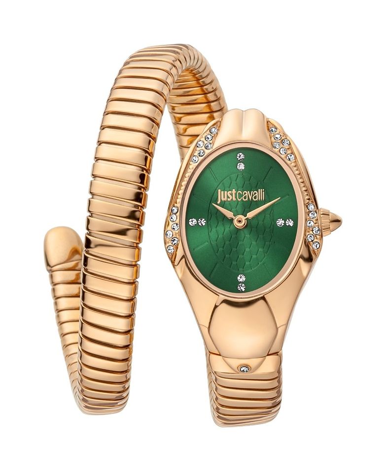 Just Cavalli Signature Snake JC1L183M0035 - Photo n°1