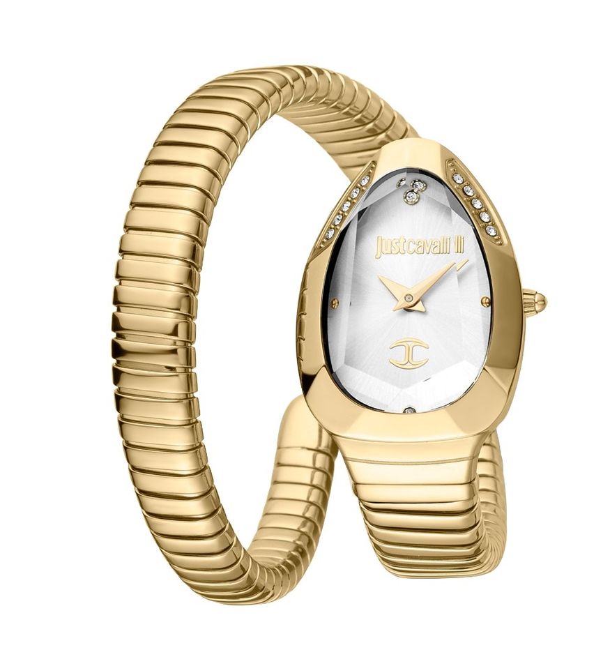 Just Cavalli Signature Snake JC1L208M0035 - Photo n°1
