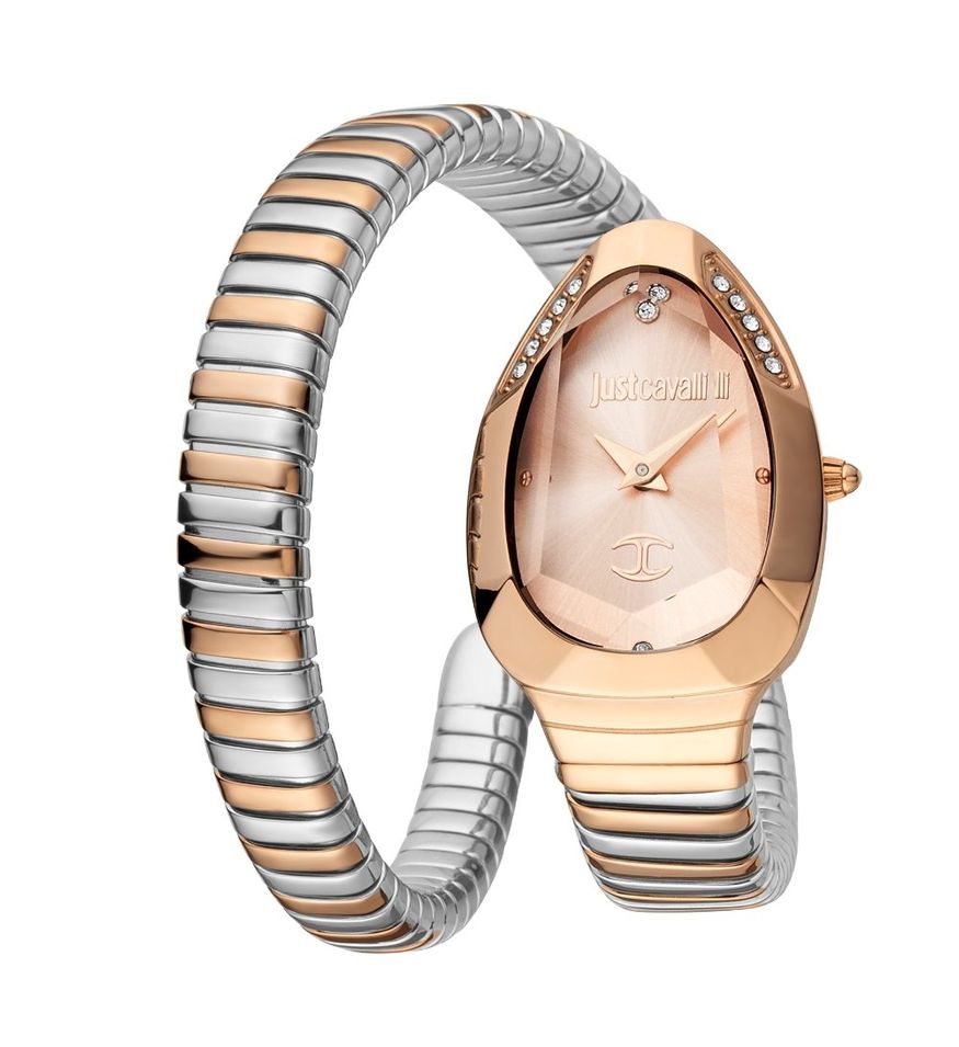 Just Cavalli Signature Snake JC1L208M0075 - Photo n°1