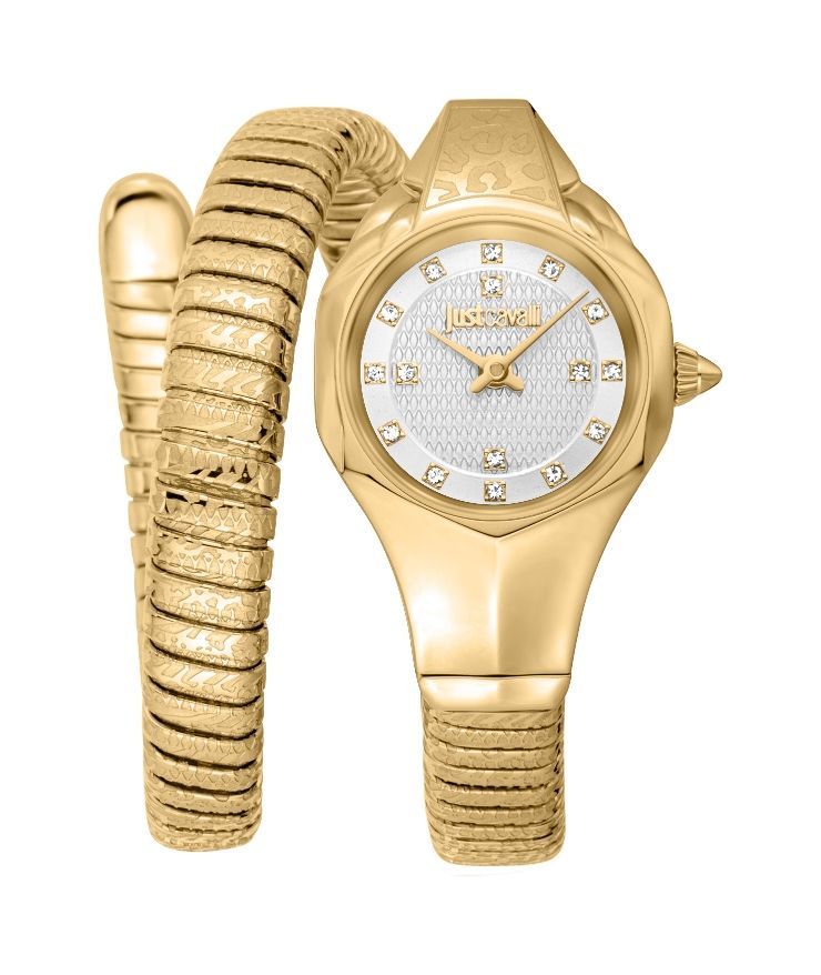 Just Cavalli Time Amalfi 2023-24 Collection JC1L270M0025 - Photo n°1