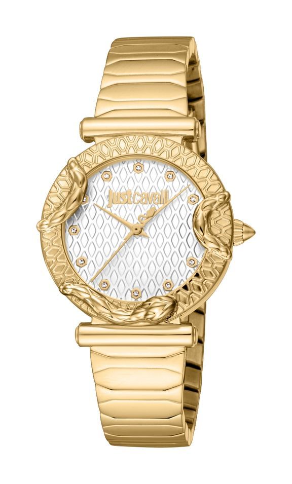 Just Cavalli Time Atrani 2023-24 Collection JC1L234M0225 - Photo n°1