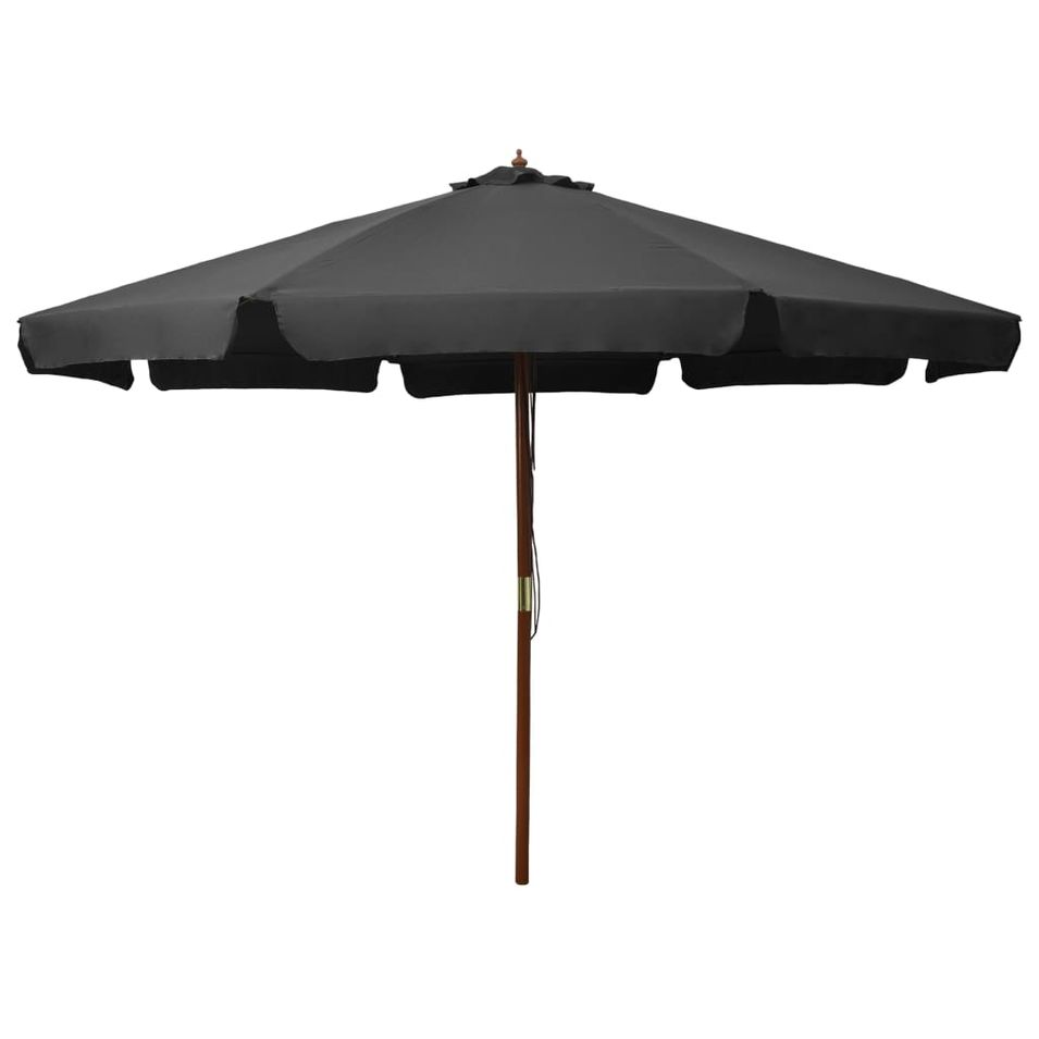 Parasol avec mât en bois 330 cm Anthracite - Photo n°1
