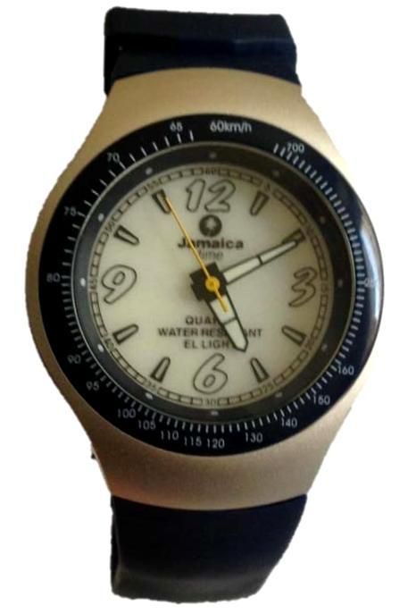 Pryngeps Jamaica Collection J3357L - Photo n°1