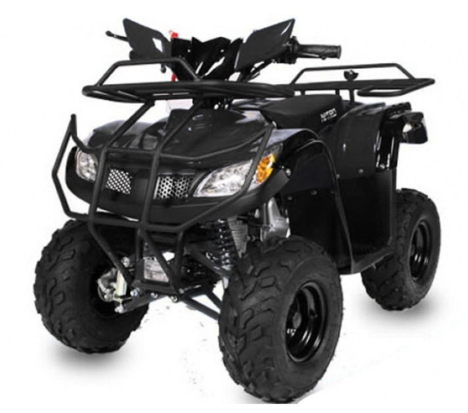 Quad 125cc automatique T Rex e-start 7