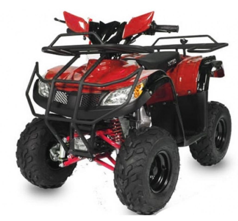 Quad 125cc automatique T Rex e-start 7