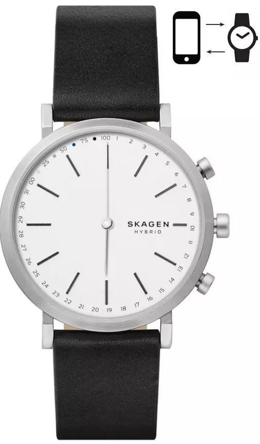 Skagen Denmark Skt1205 - Photo n°1