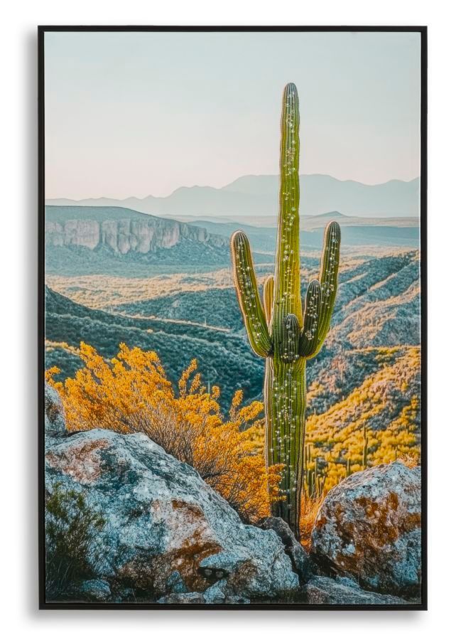 Tableau sur toile laquée avec cadre - cactus - l 60 x 4 x 90 cm - Photo n°1