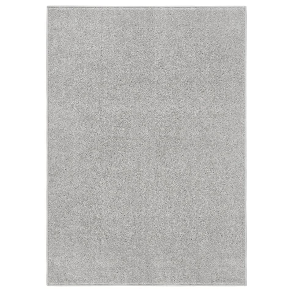 Tapis à poils courts 120x170 cm Gris clair - Photo n°1