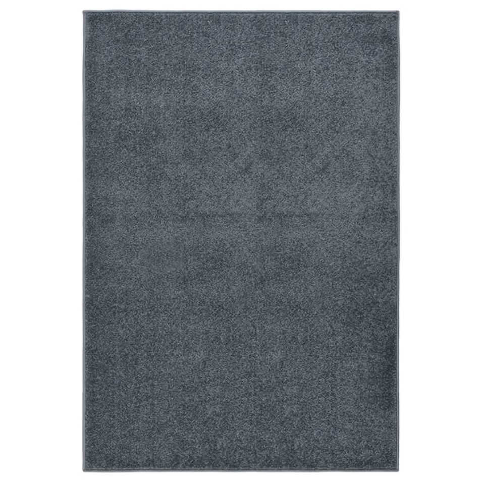 Tapis à poils courts 160x230 cm Anthracite - Photo n°1