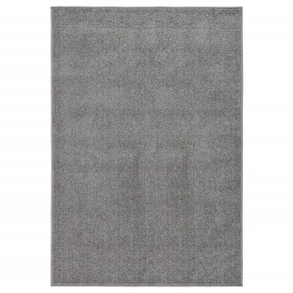 Tapis à poils courts 200x290 cm Gris - Photo n°1
