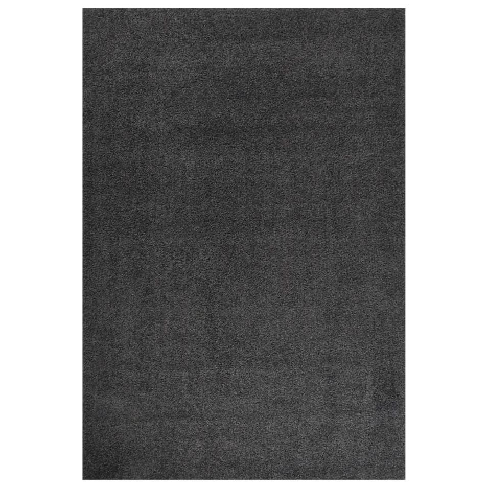 Tapis shaggy à poils longs Anthracite 160x230 cm - Photo n°1