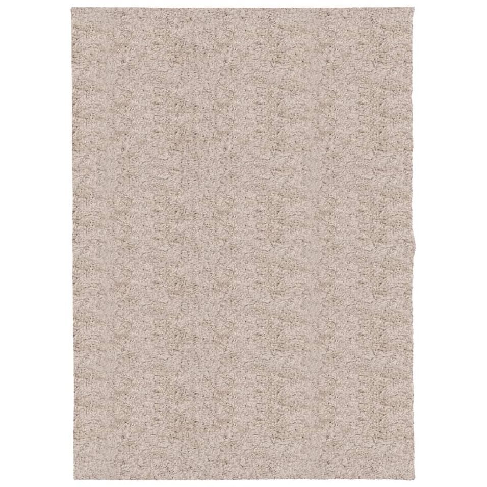 Tapis shaggy à poils longs moderne beige 140x200 cm - Photo n°1