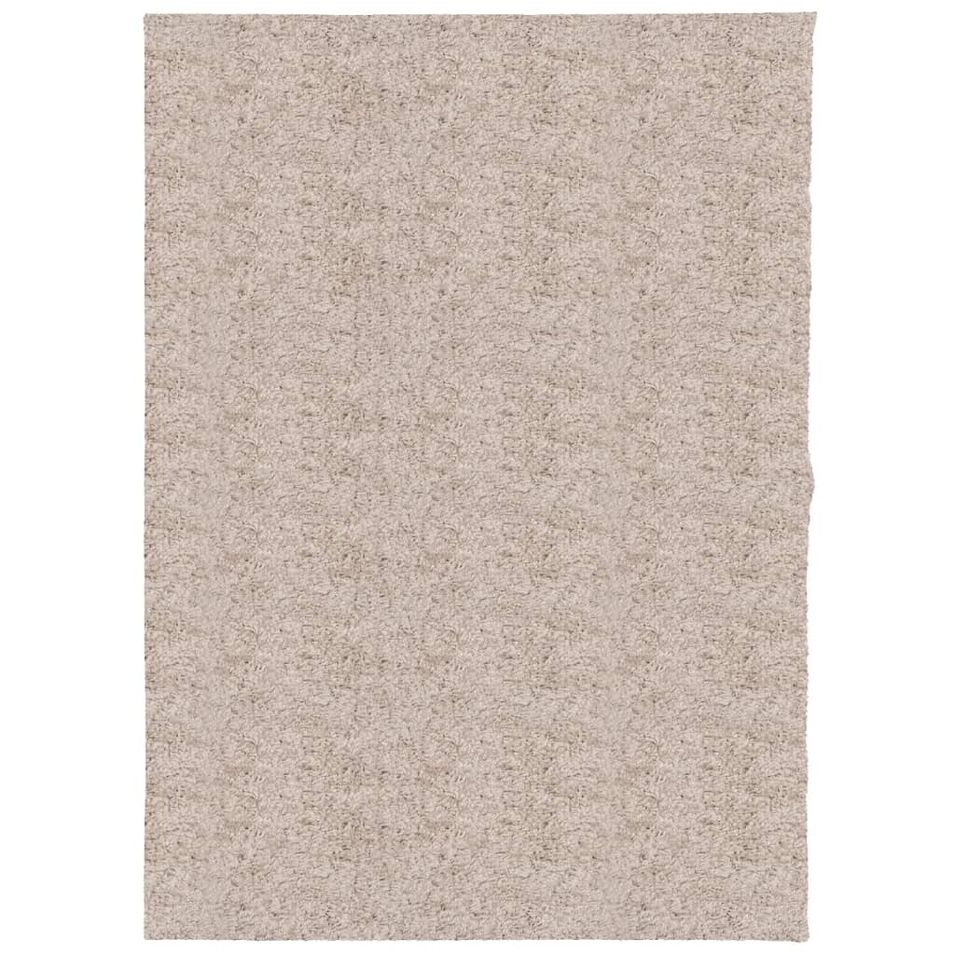 Tapis shaggy à poils longs moderne beige 240x340 cm - Photo n°1